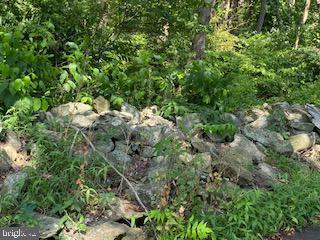 4718 Md Route 40 Turn Righ Fox Tower Rd, Smithsburg, MD 21783 photo 5