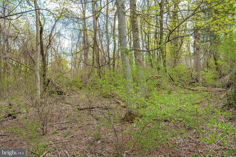 5816 Rowland, Cascade, MD 21719 photo 56