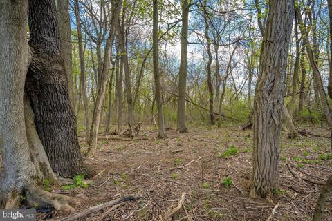 5816 Rowland, Cascade, MD 21719 photo 55
