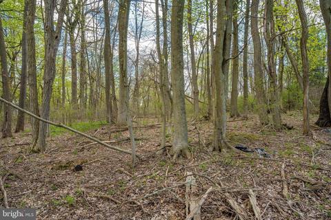 5816 Rowland, Cascade, MD 21719 photo 54