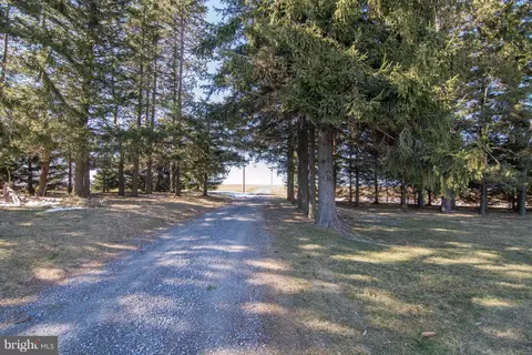 196 Maynardier Ridge Rd, Bittinger, MD 21522 photo 29