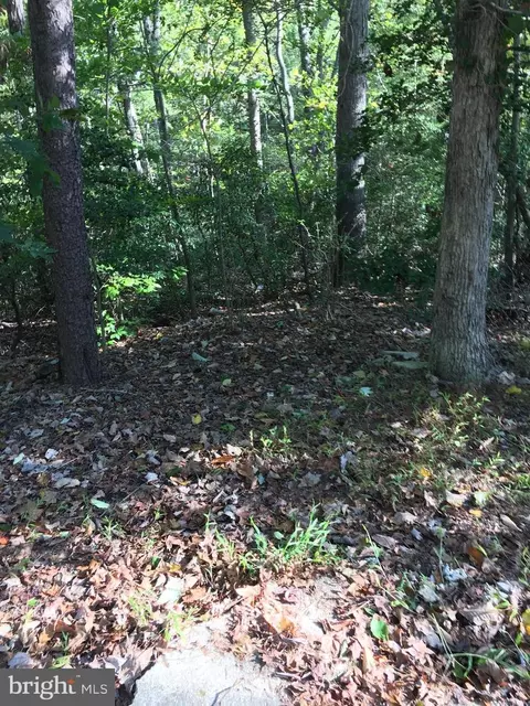 57 Tree Top Way, Oakland, MD 21550