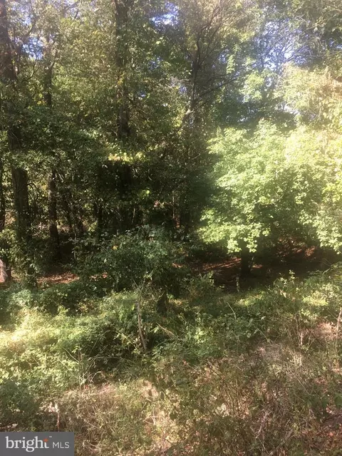 98 Treetop Way, Oakland, MD 21550