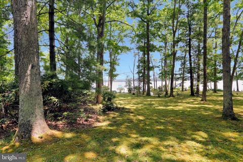 322 Cedarbrook, Swanton, MD 21561 photo 39