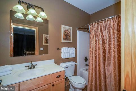 39 Upper Camp Rd, Mc Henry, MD 21541 photo 25