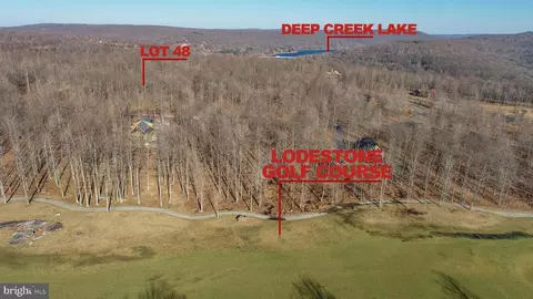48 Fern Loop, Mc Henry, MD 21541