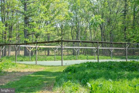 754 Crows Point Rd, Swanton, MD 21561 photo 79