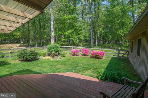 754 Crows Point Rd, Swanton, MD 21561 photo 38