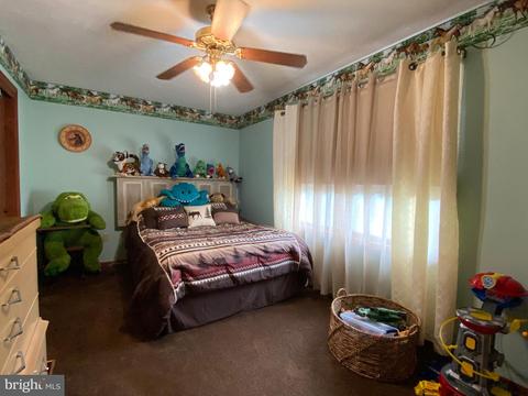 219 Magruder Ln, Barton, MD 21521 photo 27