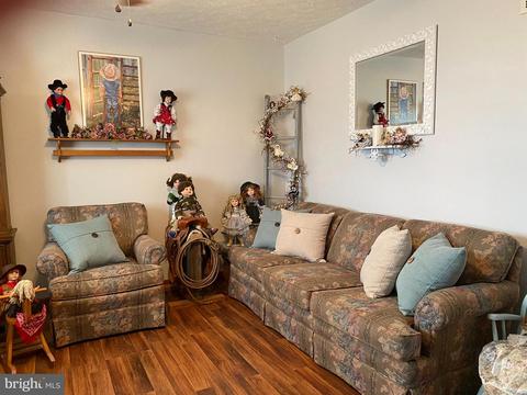 219 Magruder Ln, Barton, MD 21521 photo 19