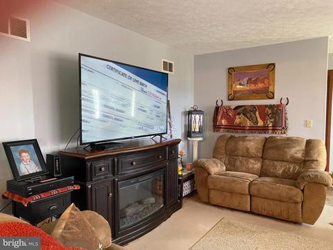 219 Magruder Ln, Barton, MD 21521 photo 17