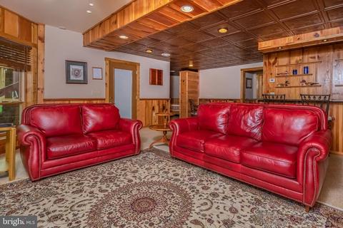 681 Hazelhurst Rd, Swanton, MD 21561 photo 14