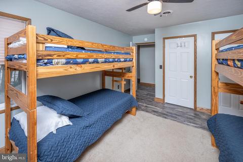 2529 Marsh Hl, Mc Henry, MD 21541 photo 47