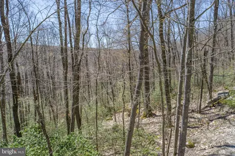 20 Bear Dr, Oakland, MD 21550 photo 22
