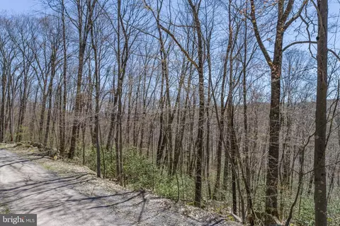 20 Bear Dr, Oakland, MD 21550 photo 17