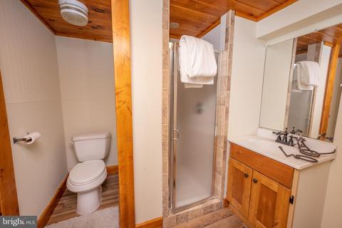 543 Crows Point Rd, Swanton, MD 21561 photo 68
