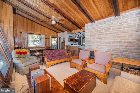 173 State Park Rd, Swanton, MD 21561 photo 25