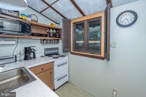 173 State Park Rd, Swanton, MD 21561 photo 18