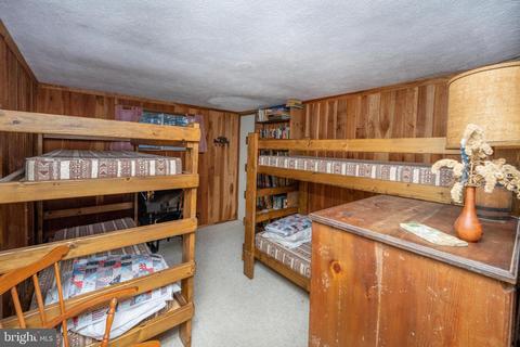 173 State Park Rd, Swanton, MD 21561 photo 24