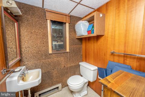 173 State Park Rd, Swanton, MD 21561 photo 30
