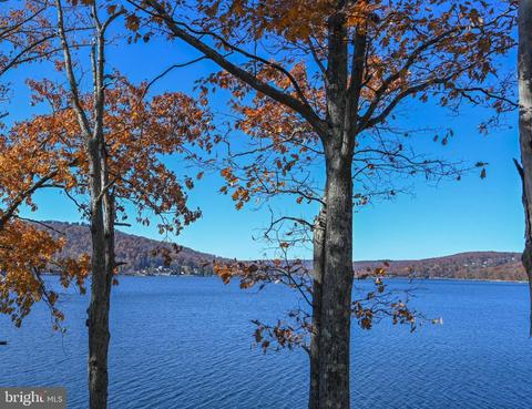 173 State Park Rd, Swanton, MD 21561 photo 2