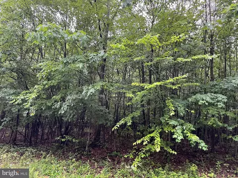 Westview Crossing Road, Grantsville, MD 21536