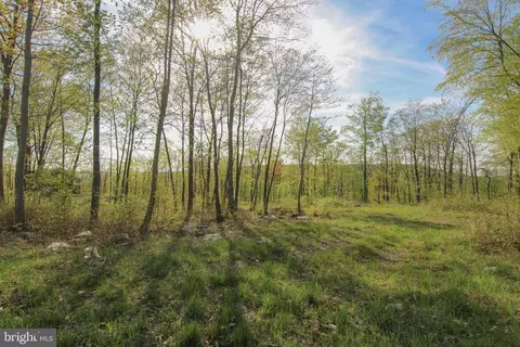 36 Rocky Gap Trail, Mc Henry, MD 21541