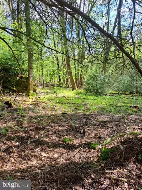 450 Deer Run Rd, Oakland, MD 21550