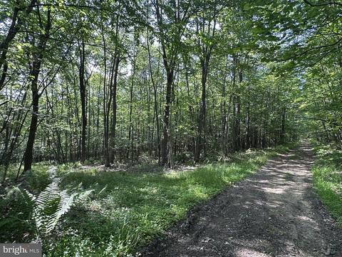 2 Steyer Mine Road, Oakland, MD 21550