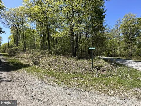 1 Stool Rock Rd, Oakland, MD 21550