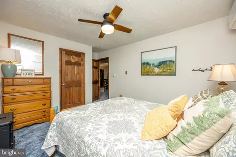 226 Bench Rd, Swanton, MD 21561 photo 26