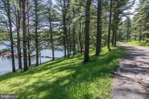 226 Bench Rd, Swanton, MD 21561 photo 68