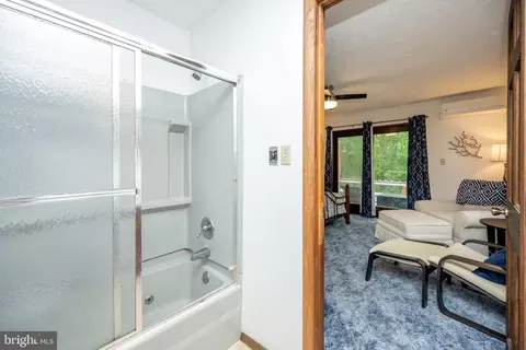 226 Bench Rd, Swanton, MD 21561 photo 35