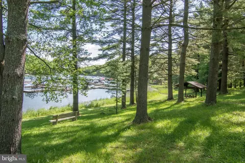 226 Bench Rd, Swanton, MD 21561 photo 76