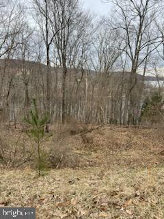 Marsh Hill, Mc Henry, MD 21541