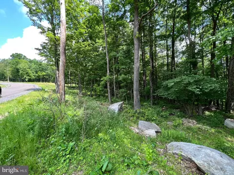 Fork Run Trail, Mc Henry, MD 21541 photo 4