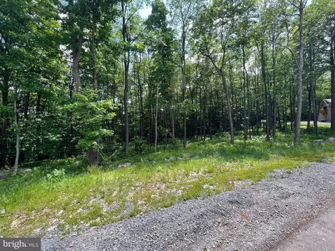 Fork Run Trail, Mc Henry, MD 21541 photo 2