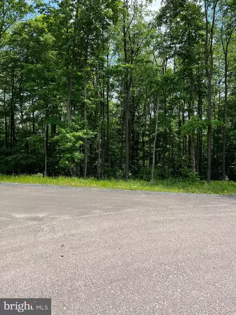 Fork Run Trail, Mc Henry, MD 21541 photo 6