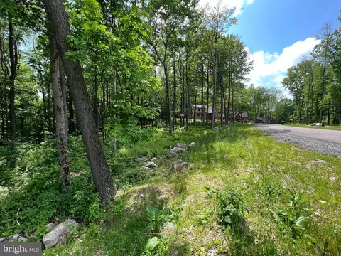 Fork Run Trail, Mc Henry, MD 21541 photo 3