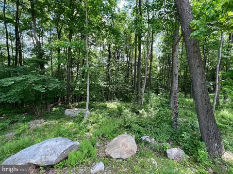Fork Run Trail, Mc Henry, MD 21541 photo 5