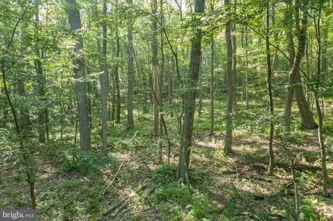 Mallard Lake Trail, Swanton, MD 21561