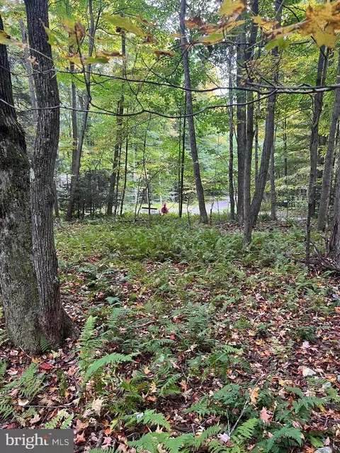 12 Tyler Dr, Accident, MD 21520