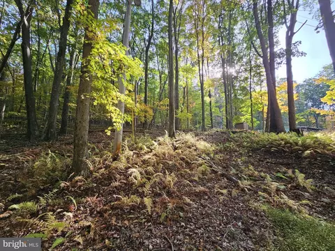 Bear Run Road, Oakland, MD 21550