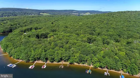 1559 Shoreline Dr, Swanton, MD 21561
