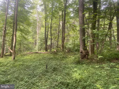 lot8 Pine Springs Dr, Grantsville, MD 21536