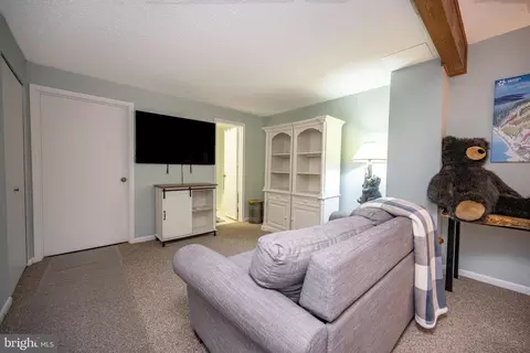 34 Winding Way #16B, Mc Henry, MD 21541 photo 29