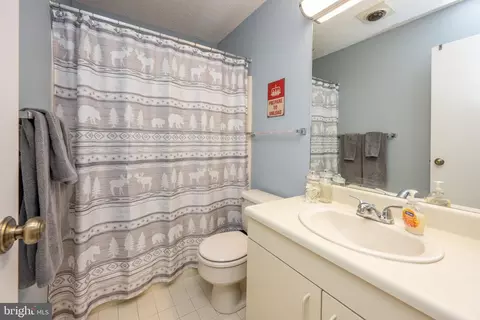 34 Winding Way #16B, Mc Henry, MD 21541 photo 22