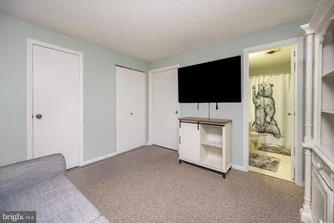 34 Winding Way #16B, Mc Henry, MD 21541 photo 35