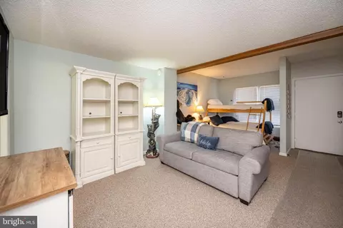 34 Winding Way #16B, Mc Henry, MD 21541 photo 30