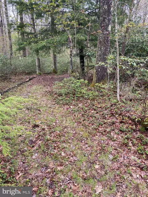 lot34 Black Oak Dr, Oakland, MD 21550